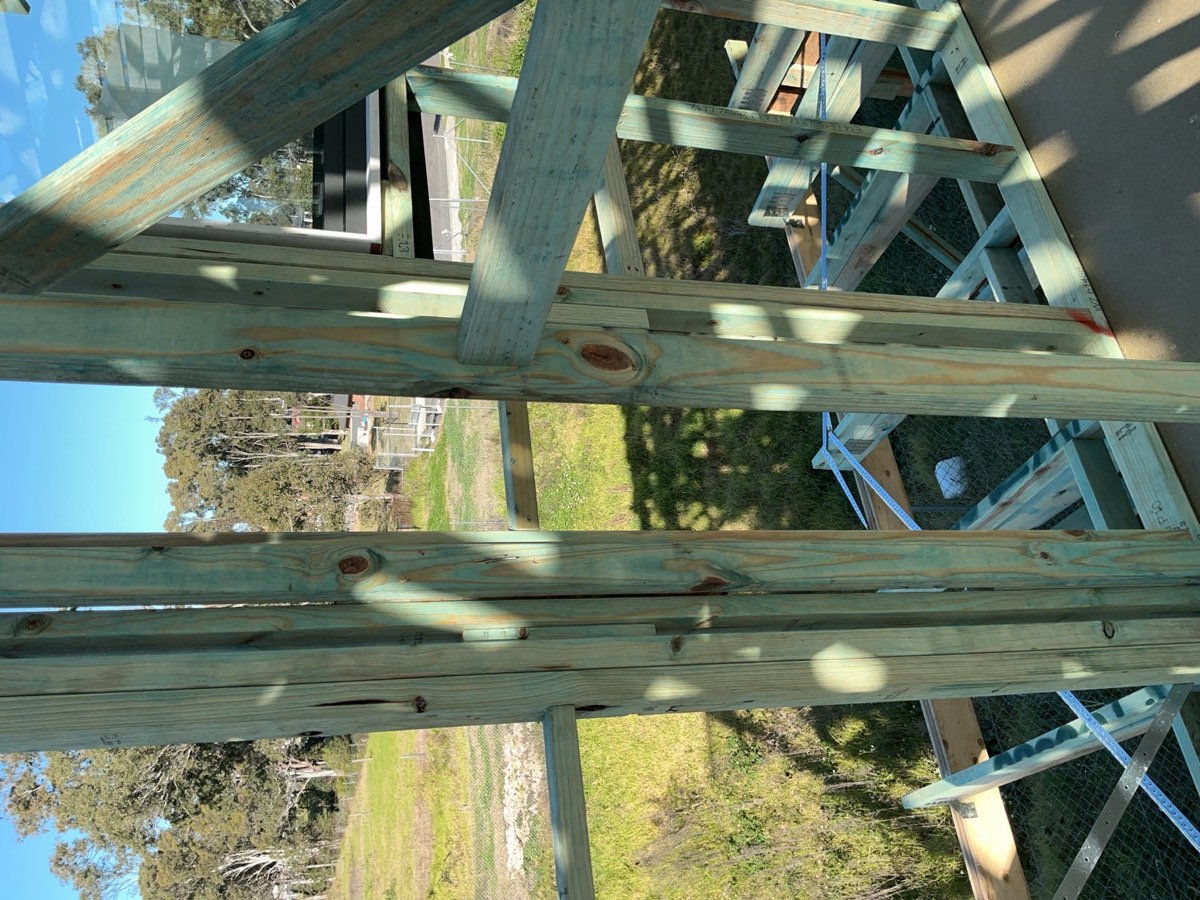 Noggings missing from the frame, Austral